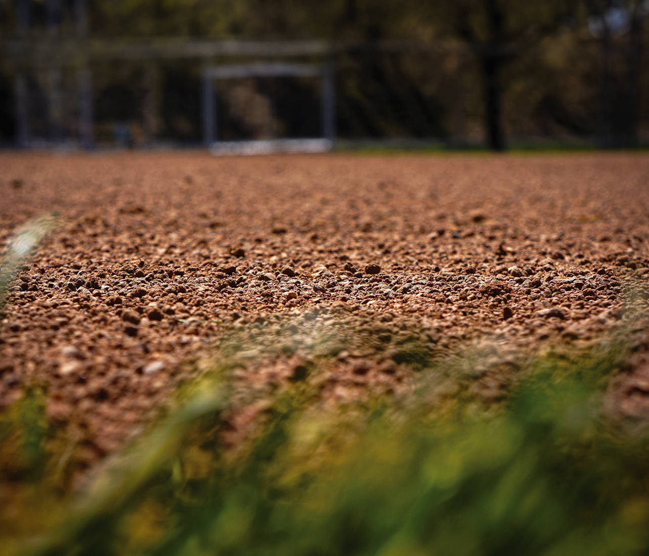 closeup of ballfield dirt